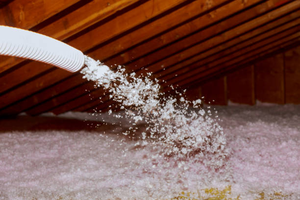 Best Specialized Insulation Services in Blasdell, NY