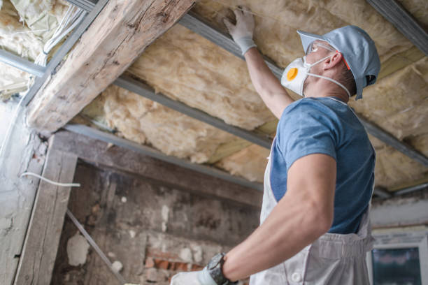 Best Energy Efficiency Insulation in Blasdell, NY