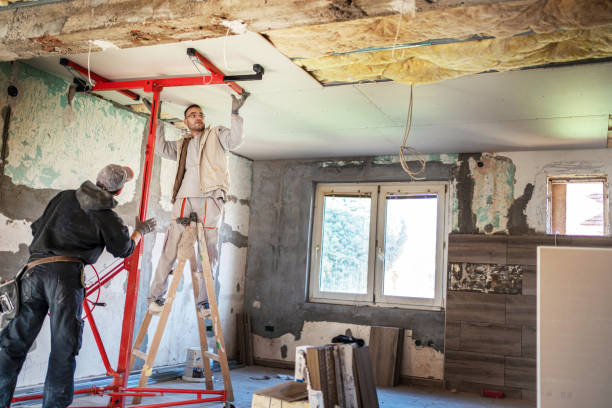 Professional Insulation Contractor in Blasdell, NY