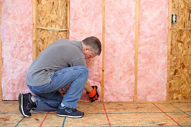 Best Residential Insulation in Blasdell, NY