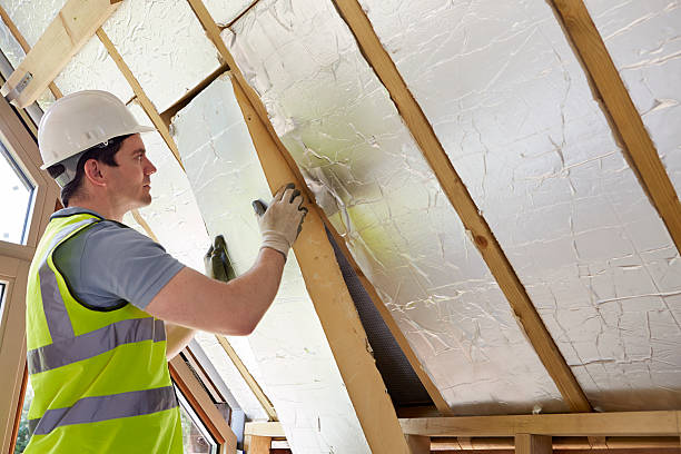 Types of Insulation We Offer in Blasdell, NY