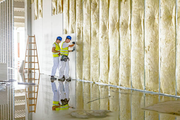 Best Spray Foam Insulation in Blasdell, NY